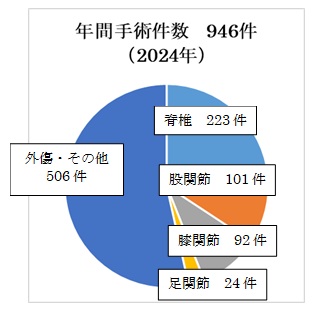 2024年手術件数