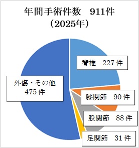 2025年手術件数
